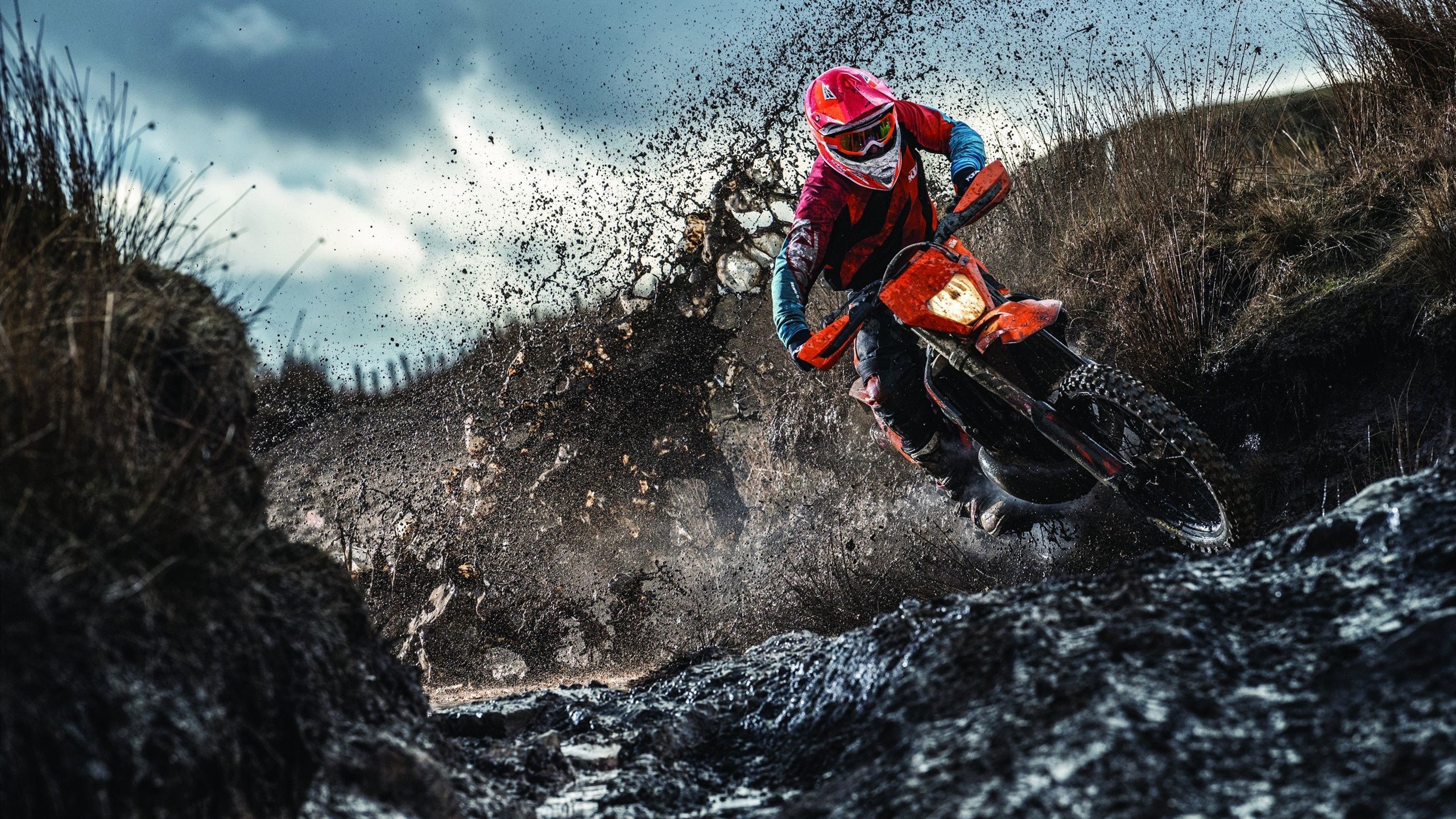 开云APP-王者之师全线压制！许昕独造巅峰，中国队上演教科书级胜利